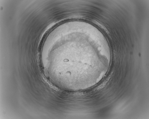 X0000070871029200607150116