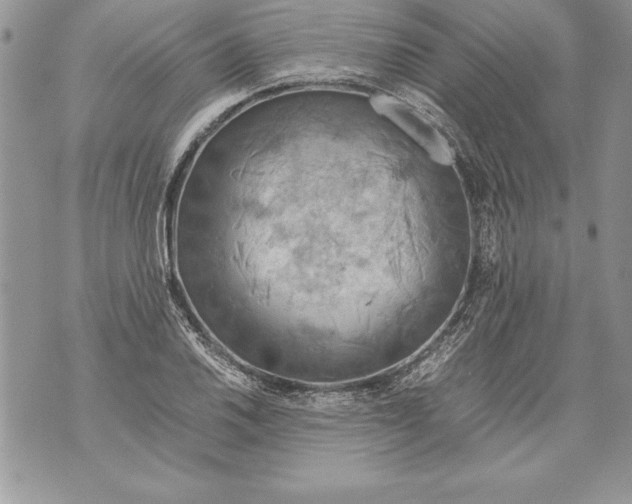 X0000070871030200607150116