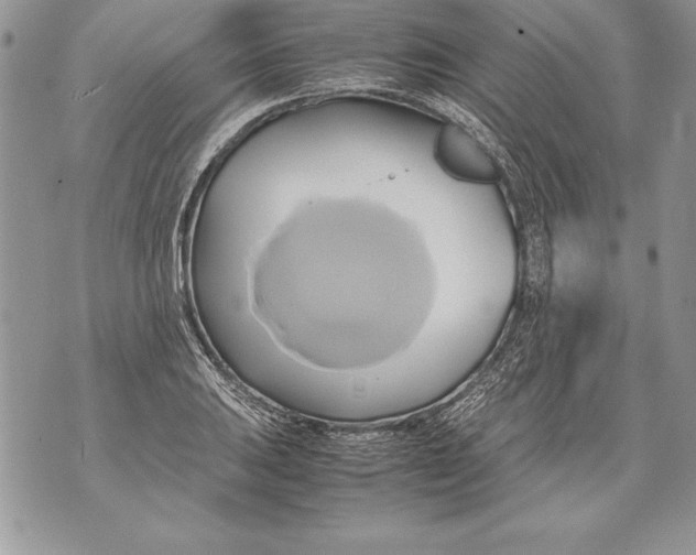 X0000070871031200607150116