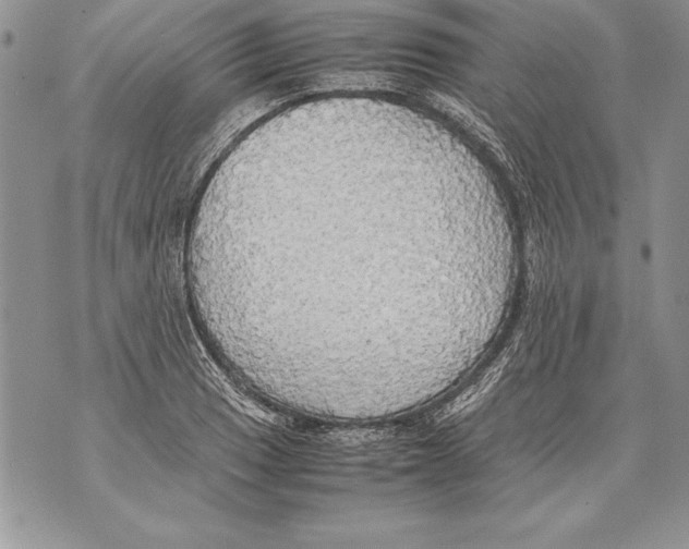 X0000070871033200607150116