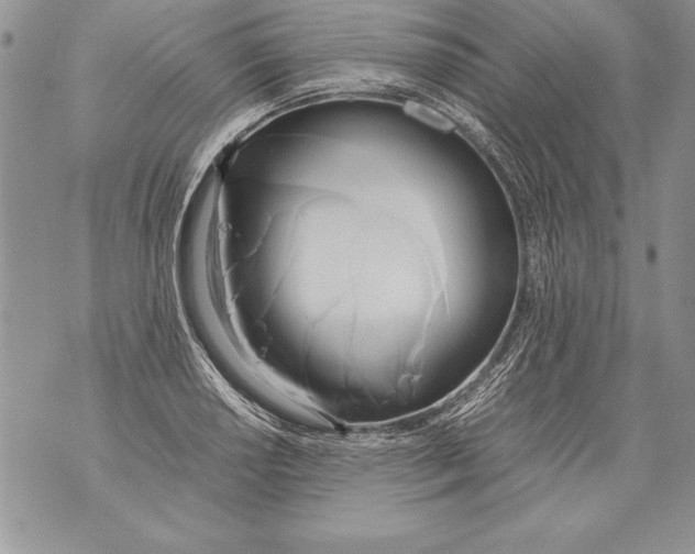 X0000070871034200607150116