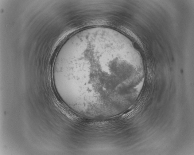 X0000070871035200607150116