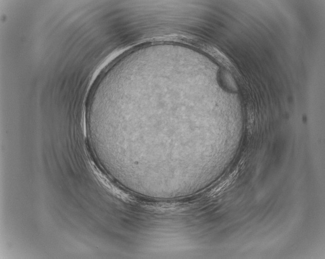 X0000070871036200607150116