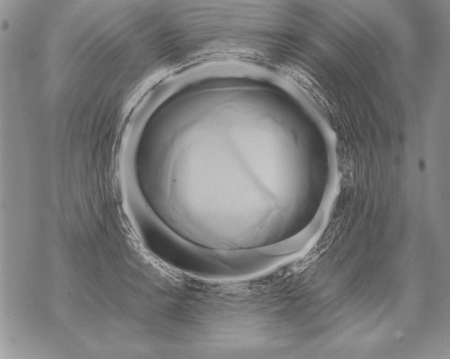 X0000070871038200607150116