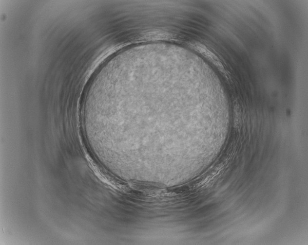 X0000070871039200607150116