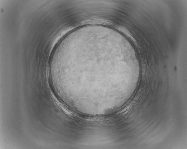 X0000070871040200607150116