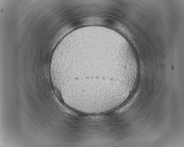 X0000070871041200607150116