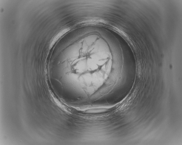 X0000070871042200607150116