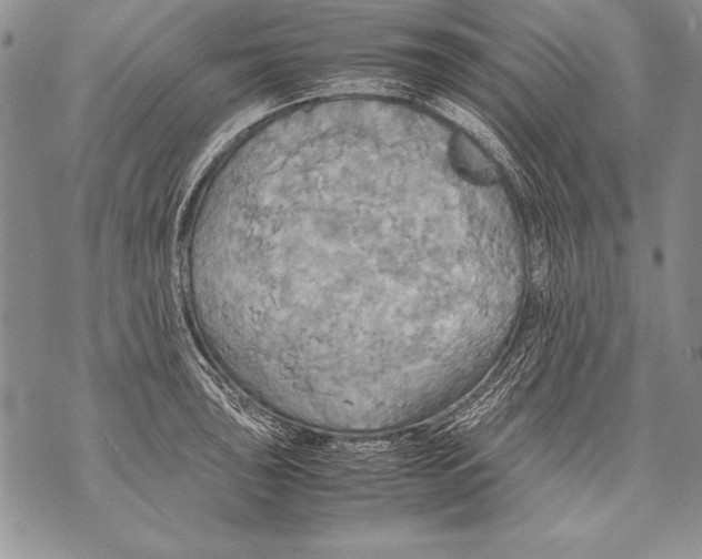 X0000070871043200607150116