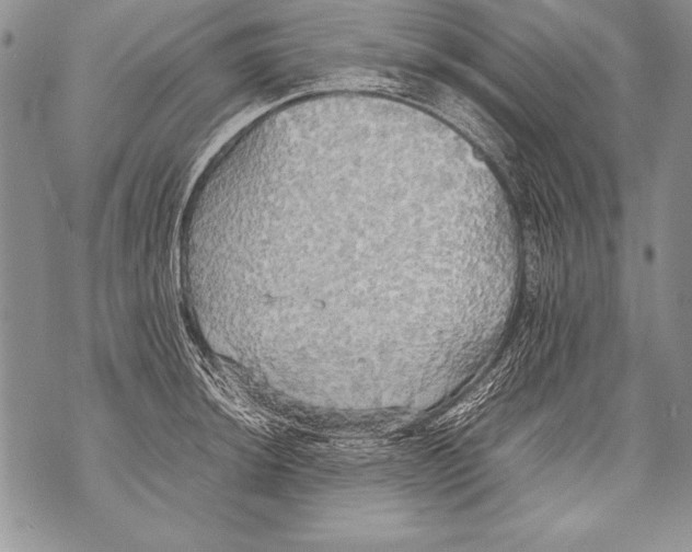 X0000070871044200607150116