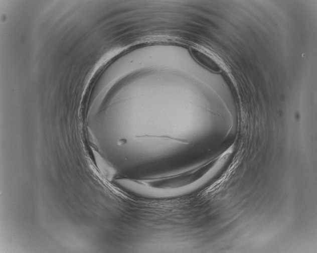 X0000070871045200607150116