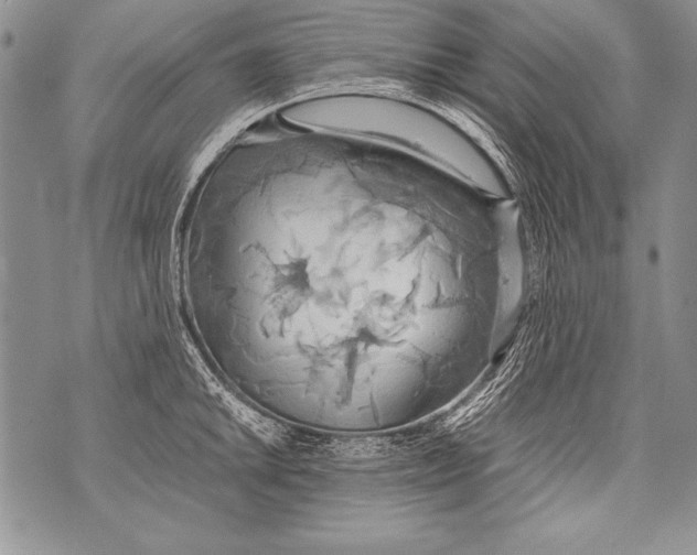 X0000070871046200607150116