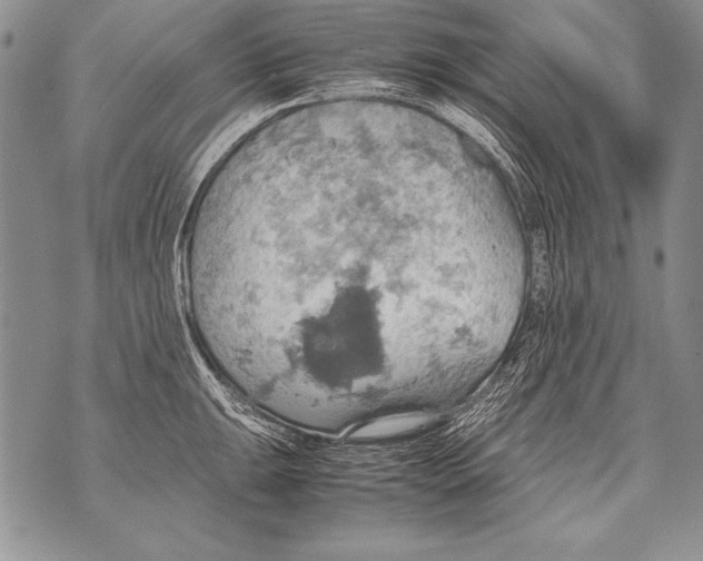 X0000070871047200607150116