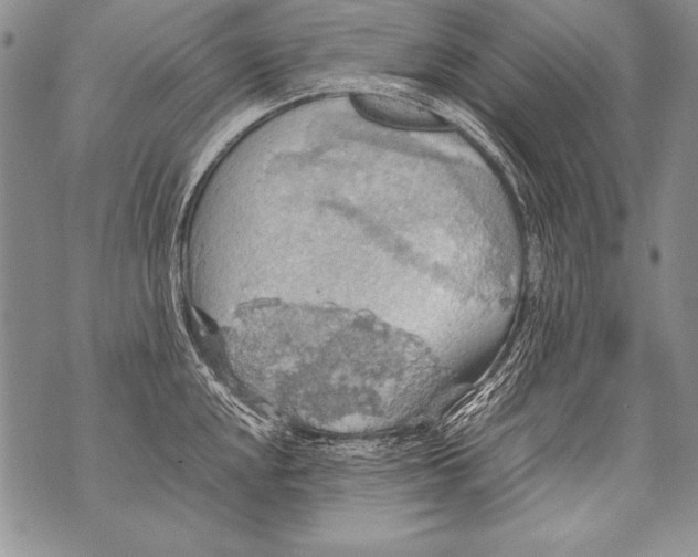 X0000070871048200607150116