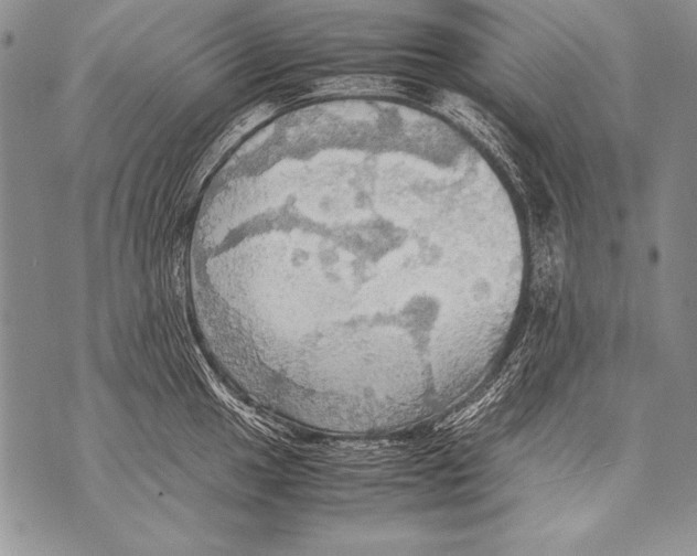 X0000070871049200607150116