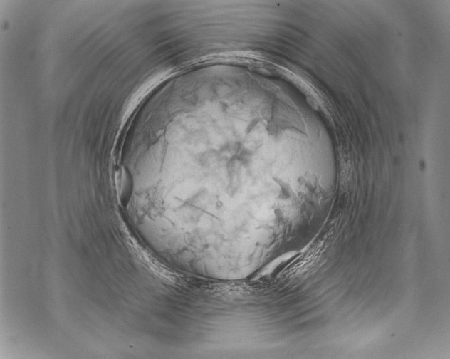 X0000070871050200607150116