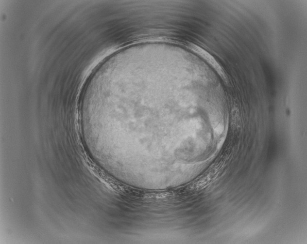 X0000070871051200607150116