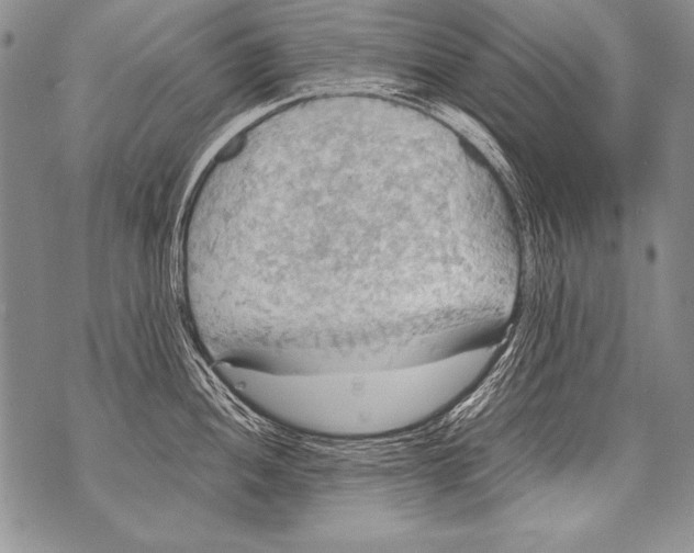 X0000070871052200607150116