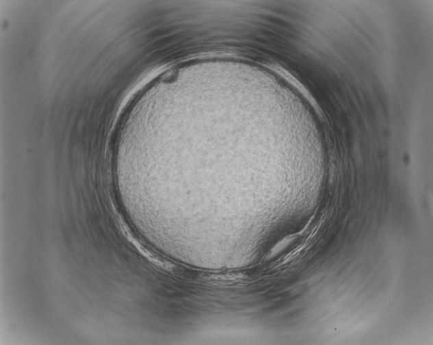 X0000070871053200607150116