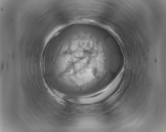 X0000070871054200607150116