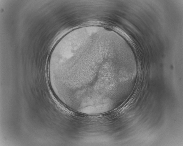 X0000070871055200607150116