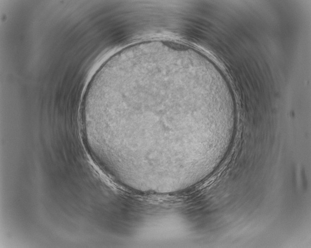 X0000070871056200607150116