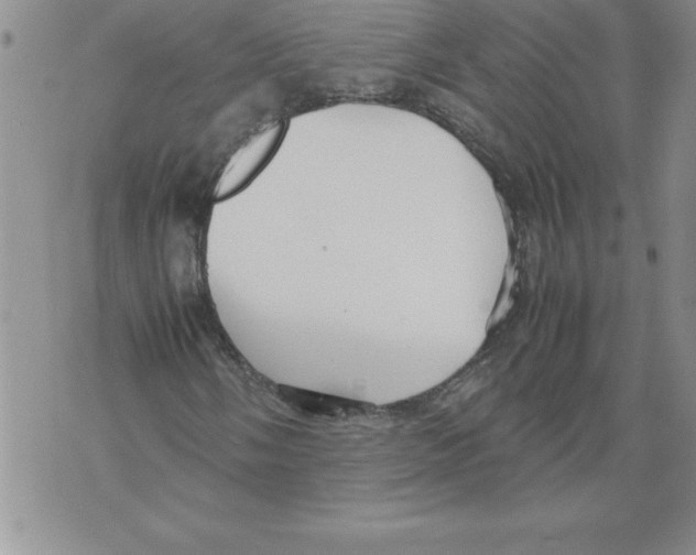 X0000070871058200607150116