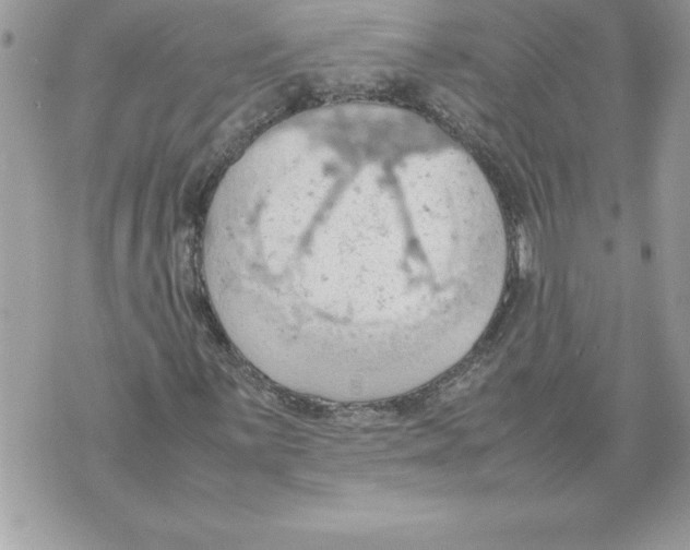 X0000070871059200607150116