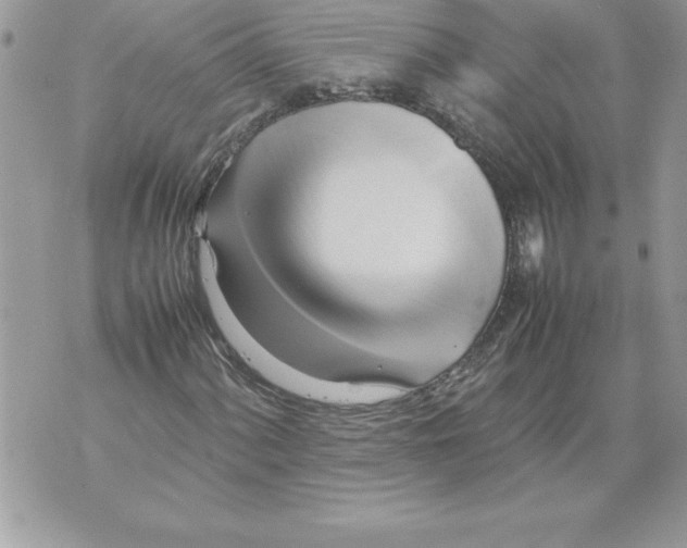 X0000070871060200607150116