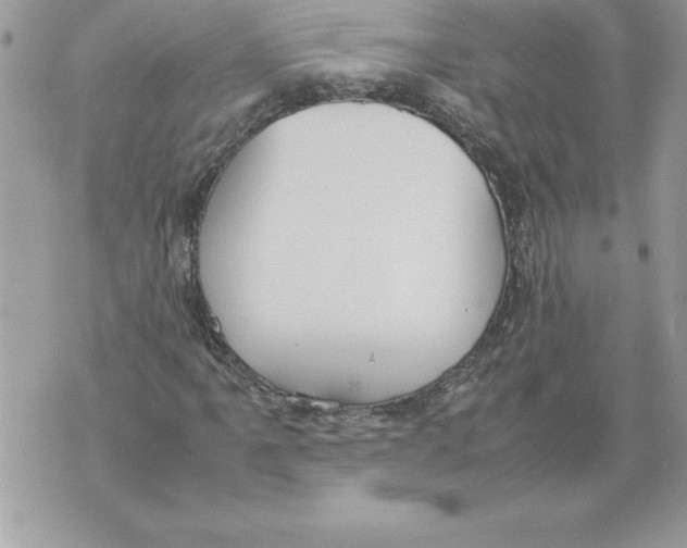 X0000070871061200607150115