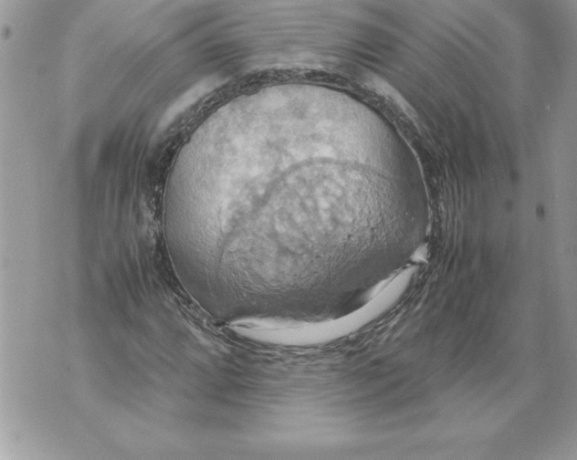 X0000070871064200607150115