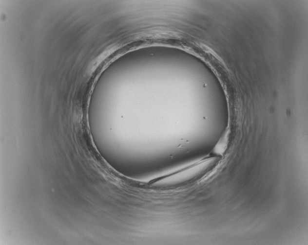 X0000070871065200607150115