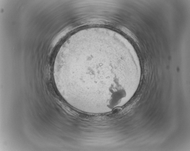 X0000070871067200607150115