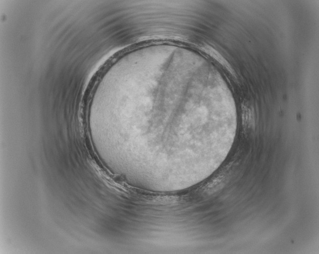 X0000070871068200607150115