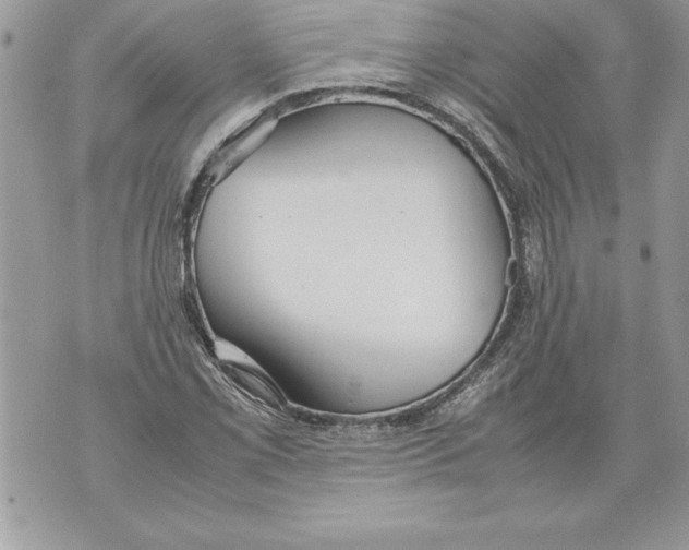 X0000070871069200607150115