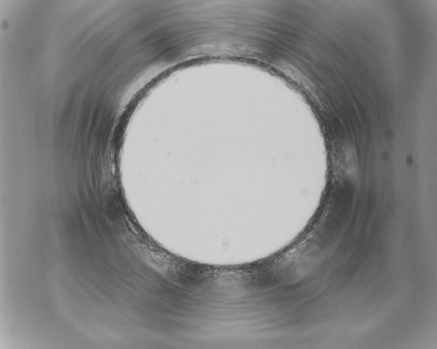 X0000070871070200607150115