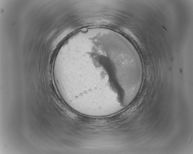 X0000070871071200607150115