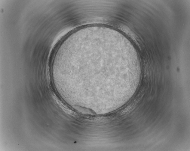 X0000070871072200607150115