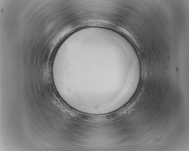 X0000070871074200607150115