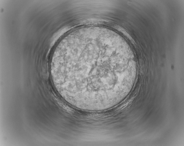 X0000070871075200607150115