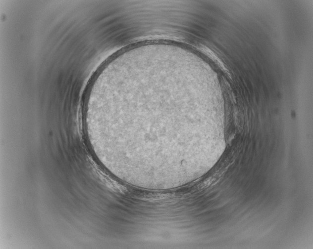 X0000070871076200607150115