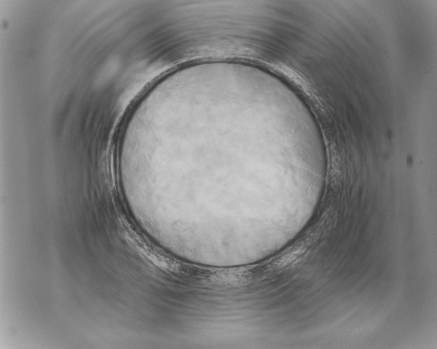 X0000070871078200607150115