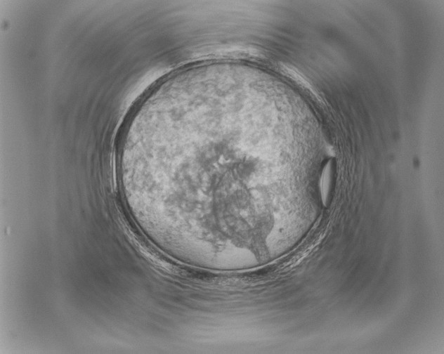 X0000070871079200607150115