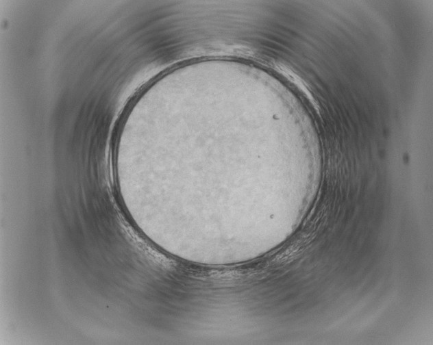 X0000070871080200607150115