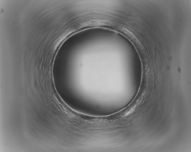 X0000070871081200607150115