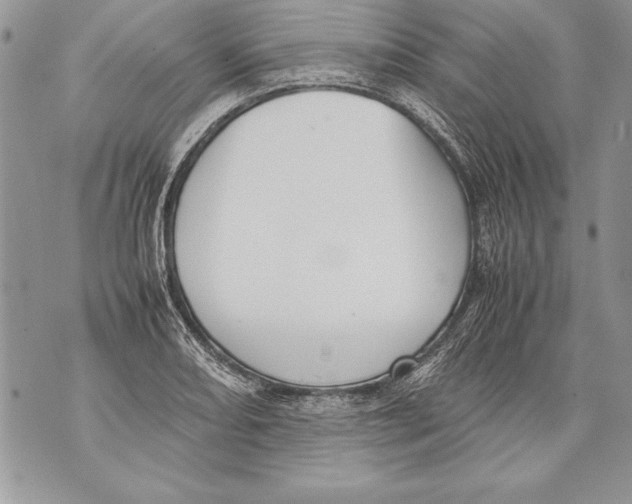 X0000070871082200607150115