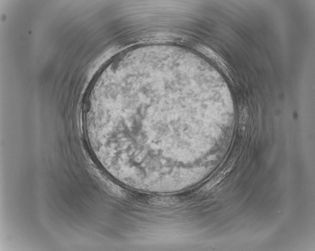 X0000070871083200607150115