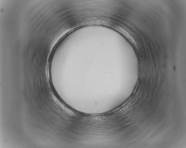 X0000070871084200607150115