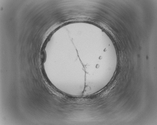 X0000070871085200607150115