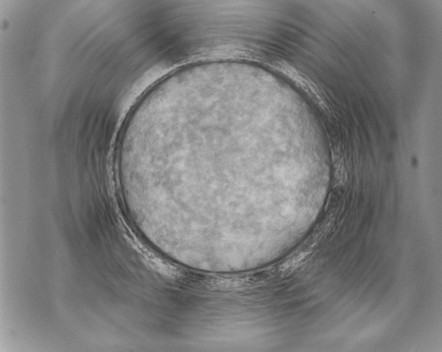 X0000070871086200607150115